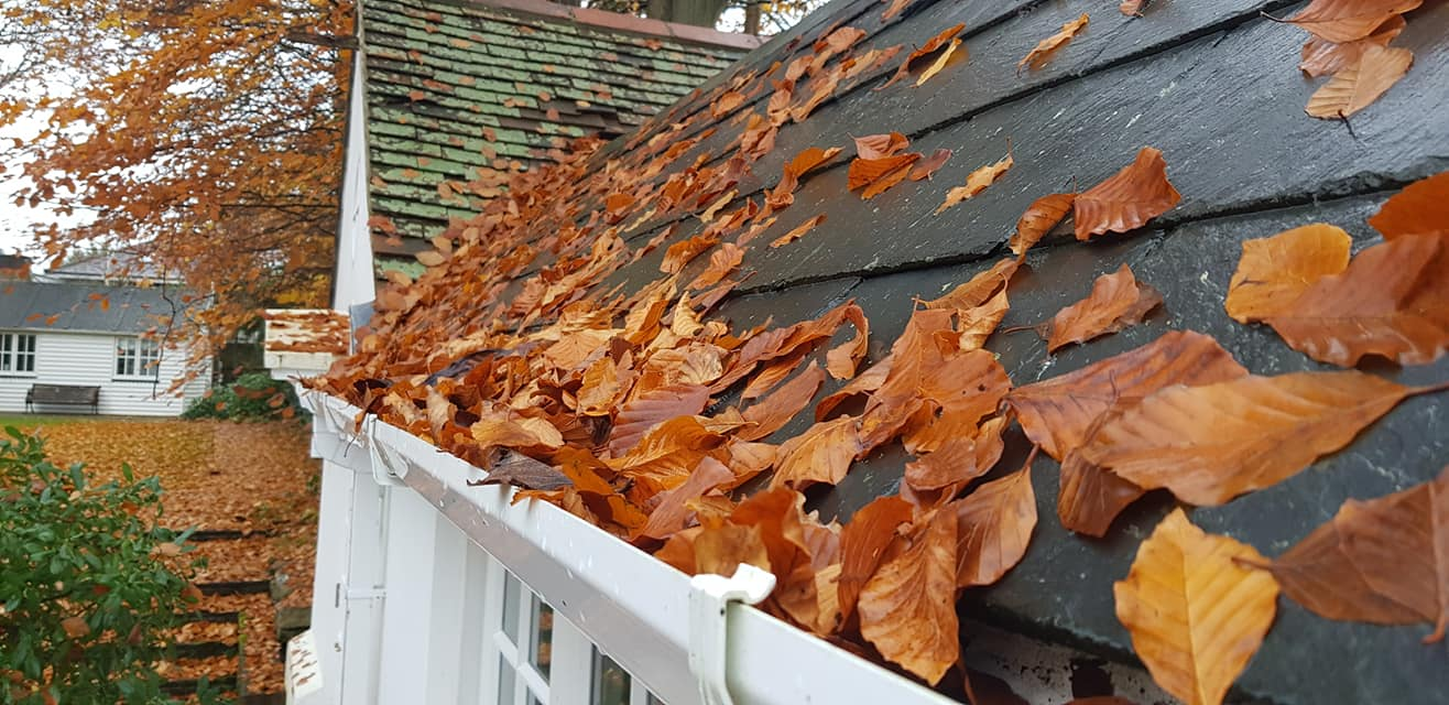 Commercial and Residential Gutter Cleaning Services