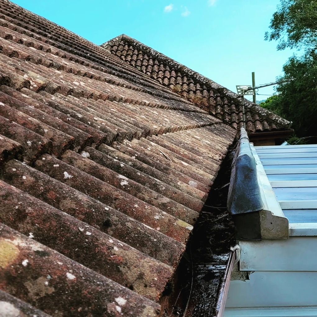 Commercial and Residential Gutter Cleaning Services
