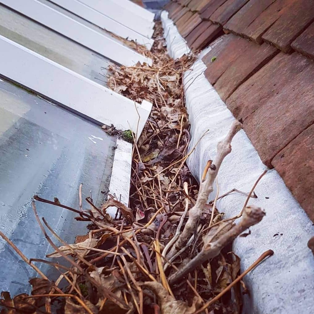 Commercial and Residential Gutter Cleaning Services