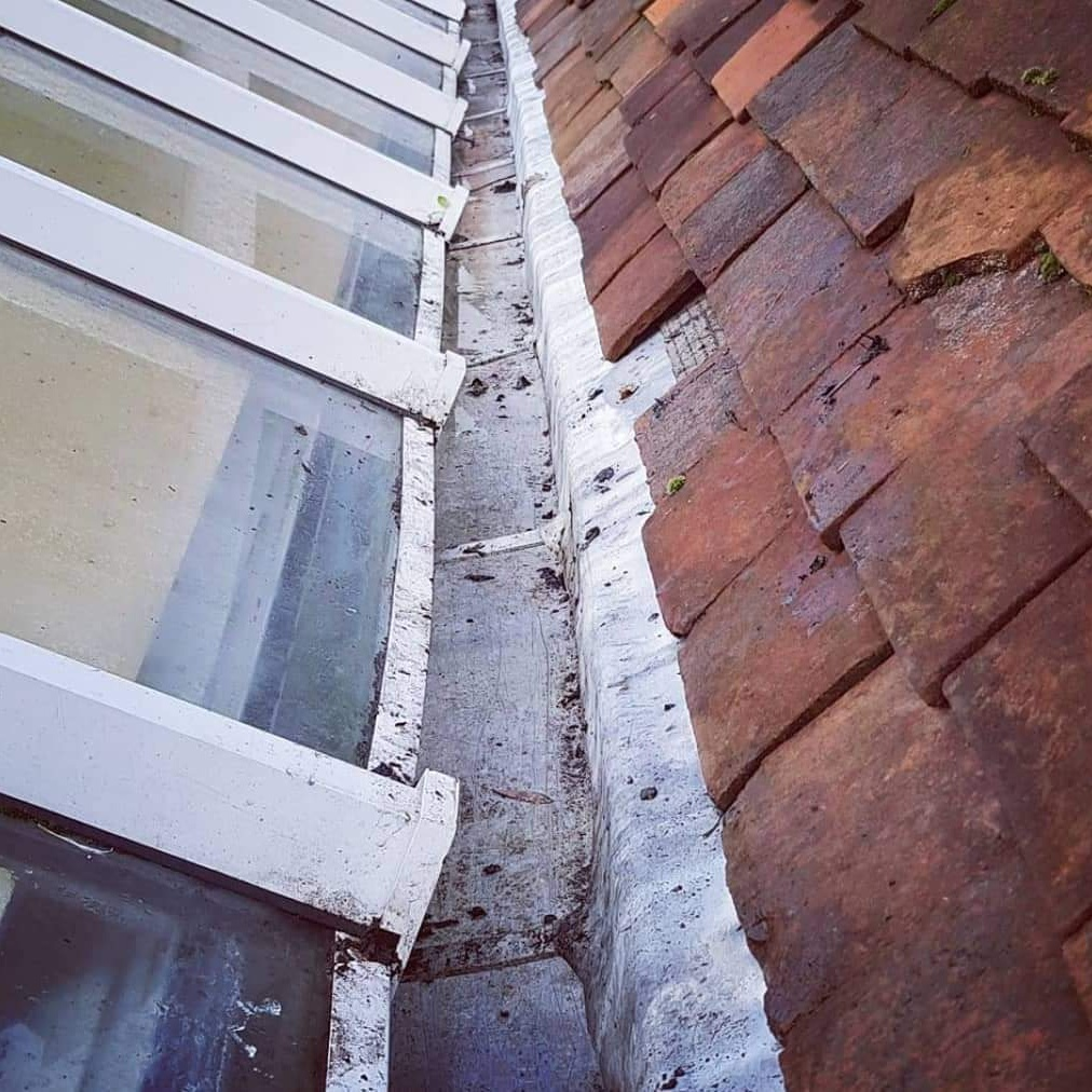 Commercial and Residential Gutter Cleaning Services