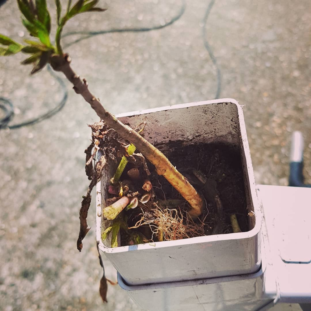 Commercial and Residential Gutter Cleaning Services