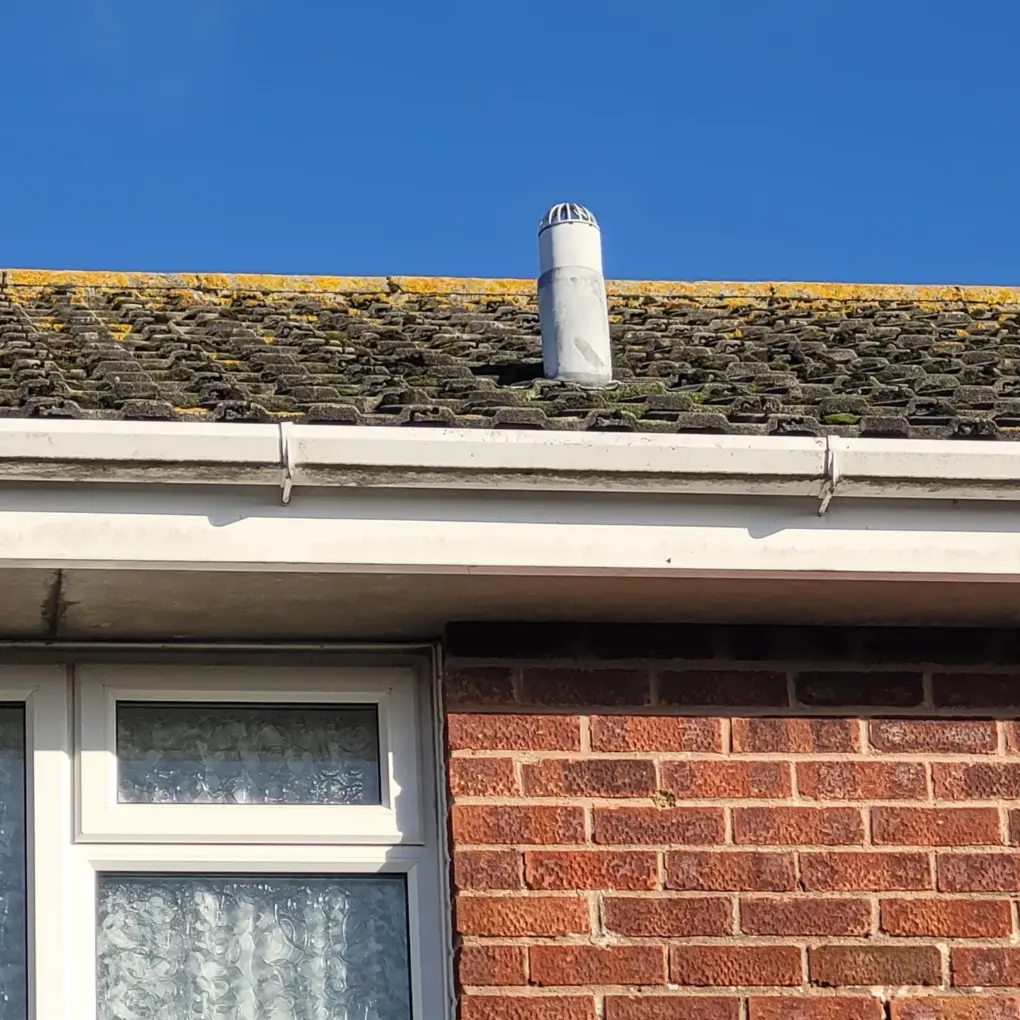 Moss Removal & Treatment