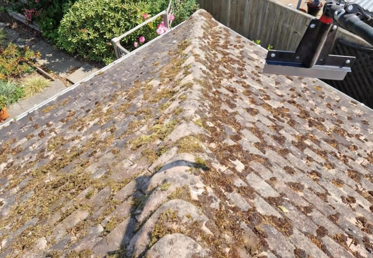 Moss removal and treatment